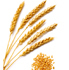 Gluten Free Living