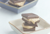 Chocolate & Nut Butter Bites