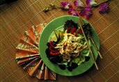 Barbecued Thai Chicken Salad