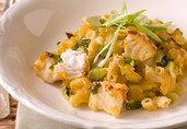 Spring Onion and Cheddar Catfish Casserole