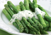 Asparagus Topped with Creamy Tarragon Sauce