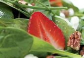 Green Salad with Strawberries & Goat Cheese