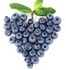 Heart Healthy
