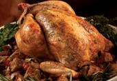 Chicken Baked over Mushroom Dressing