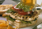 Rosemary Chicken Sandwiches with Spicy Chile Mayonnaise