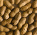 Food Allergies