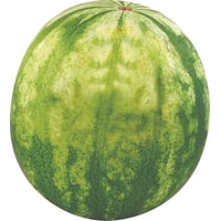 Honeydew Melon – EuroFlavor