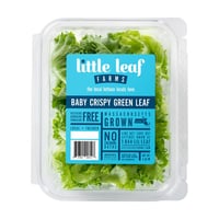 Little Leaf Farms Baby Crispy Green Leaf Lettuce - 8 oz pkg