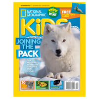 Kids Geographic 【National 】11冊セット