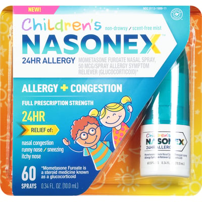  Nasonex 24Hr Allergy Nasal Spray - 60 Spray : Health & Household