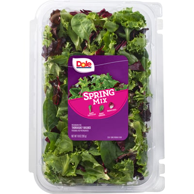 Spring Mix Lettuce Information  Learn About Spring Mix Lettuce