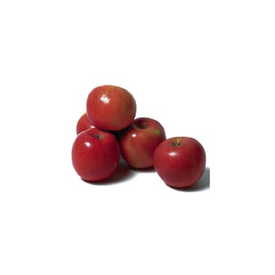 Apples- Red Delicious — Sun Orchard Apples