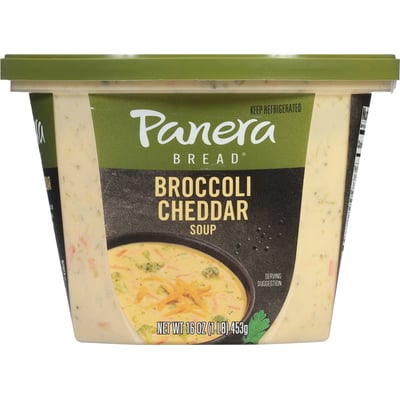 Panera Bread Broccoli Cheddar Soup, 16 OZ Soup Cup, Search