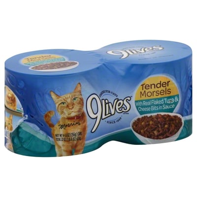 The Perfect Cat Frozen in Time Ice Mold – The Good Cat Company