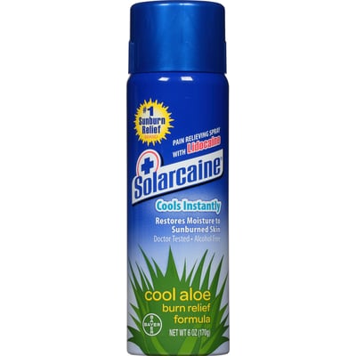 where to find aloe vera plant Aloe Vera Plant Nursery 4