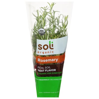 Noli's Rosemary Town 全8種　バラ売り◎ Soli Organic - Soli Organic, Rosemary | Shop | Weis Markets